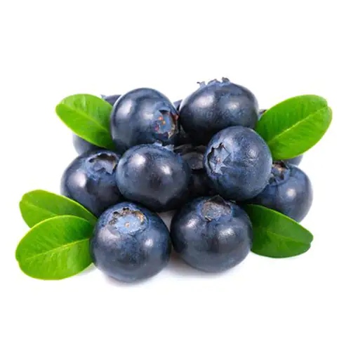 Blueberry 125g Peru